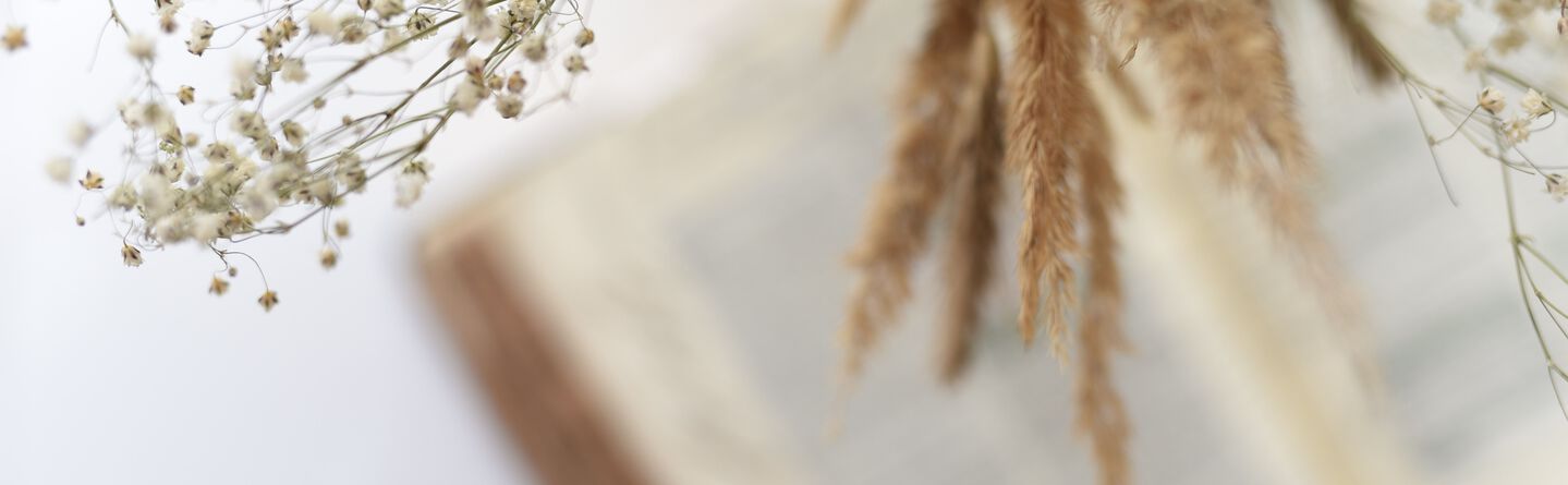 blog header